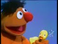 Classic Sesame Street Rubber Duckie