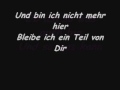 König der Löwen 2 - Wir sind eins - Lyrics 