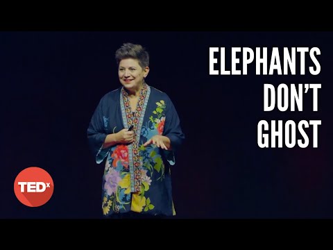 Elephants Don't Ghost: What Colorectal Cancer Taught Me About Care