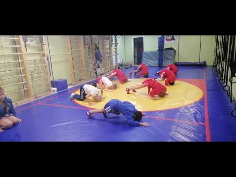 борцовские мосты, переходы