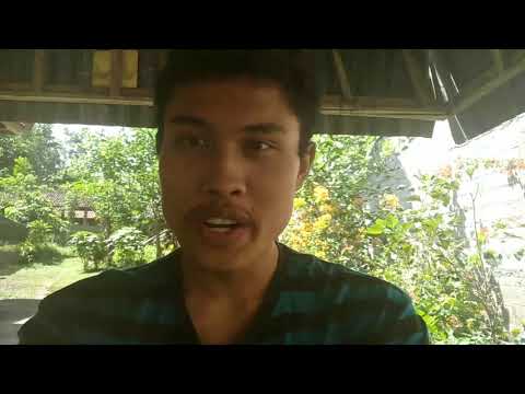 Audio Lingual Method By Ari Pradnyana