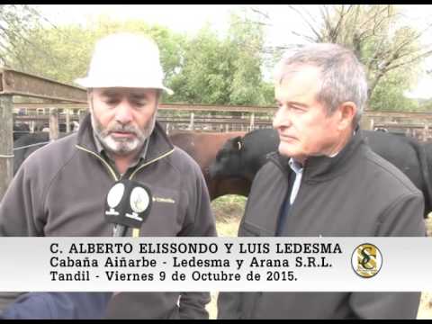 09-10-15 Nota Ledesma y Elissondo  - Cabaña Aiñarbe - Ledesma y Arana S.R.L. - Tandil.