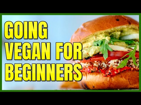 My Top 5 Tips for Going Vegan