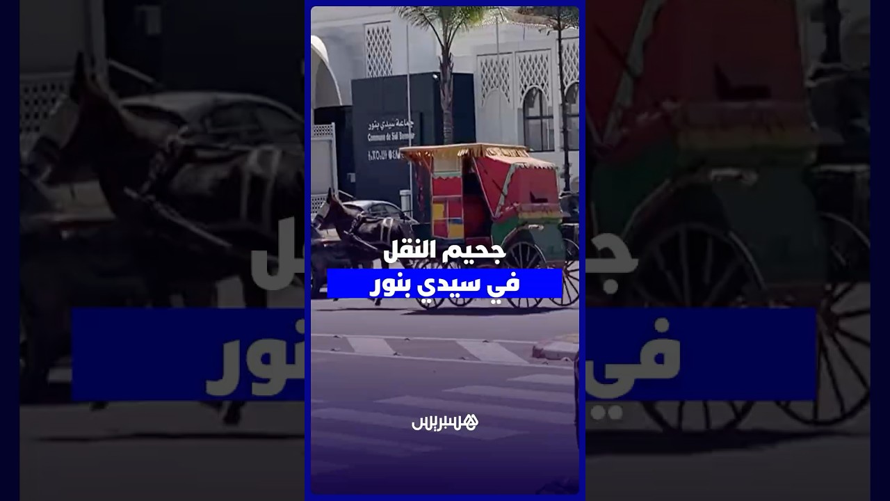 صوت سيدي بنور .. صرخة مواطنين ضاقت بهم السبل وسط أزمة نقل خانقة thumbnail