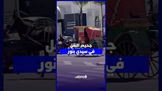 صوت سيدي بنور .. صرخة مواطنين ضاقت بهم السبل وسط أزمة نقل خانقة thumbnail