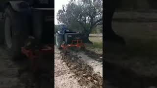 Zeytin yetiştiriciliği yapılan arazi landbouwgrond te koop - Foto 4 | Agronetto NL Zeytin yetiştiriciliği yapılan arazi landbouwgrond | Foto 4 - Agronetto