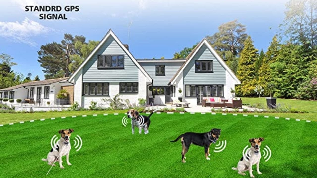 chien Système de clôture électrique sans fil GPS