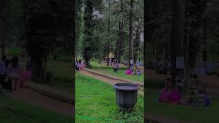 Download lagu Sejuk nya di kuningan 🍃 #woodland #kuningan mp3