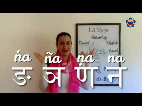 6th Class - Ta Varga (Dental)