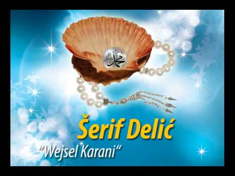 14  Serif Delic   Wejsel Karani