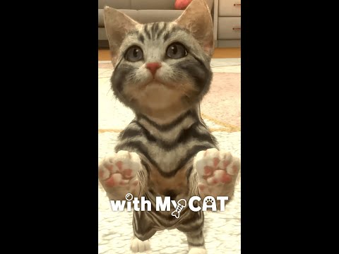 with My CAT Video