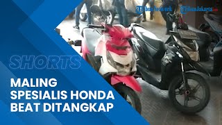 2 Maling Motor Spesialis Honda Beat di Jakarta Timur Diamankan Polisi, Total 19 Kali Beraksi