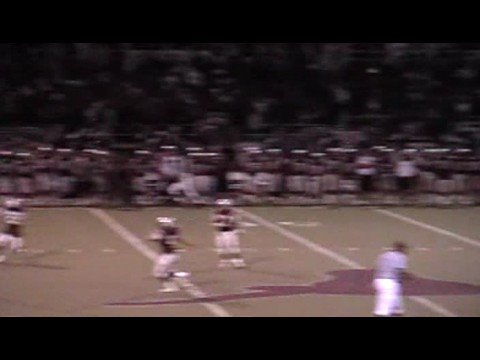 Kenny Stills 53 yard Touchdown Catch