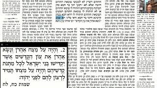 דף יומי מסכת זבחים דף כג Daf yomi Masechet Zevachim page 23  ע"י יוני גוטמן (שיעורי הדף היומי ב-20 דקות – מועבר ע"י ר' יוני גוטמן – לעילוי נשמת אביו ר' אלימלך צבי (צביקה) גוטמן ז"ל) - התמונה מוצגת ישירות מתוך אתר האינטרנט יוטיוב. זכויות היוצרים בתמונה שייכות ליוצרה. קישור קרדיט למקור התוכן נמצא בתוך דף הסרטון