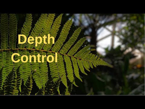 DEPTH CONTROL on IPhone