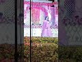Didi Saadi Cool Cool Jija Sada Hot Ni Tranding Jijasaali Weedingseason Youtube Ytstudio Ytshorts