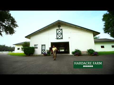 Gulfstream Park Replay show | October 7, 2017