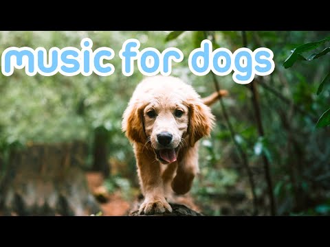 [NO ADS] Deep Relaxation Music for Dogs | 20 Hours