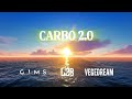 GIMS, L2B, Vegedream - CARBO 2.0 (Clip Visualizer)