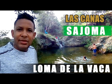 LAS CANAS SAJOMA