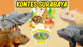 REPTILE KONTES EXPO PET VAGANZA 2022 PTC SURABAYA
