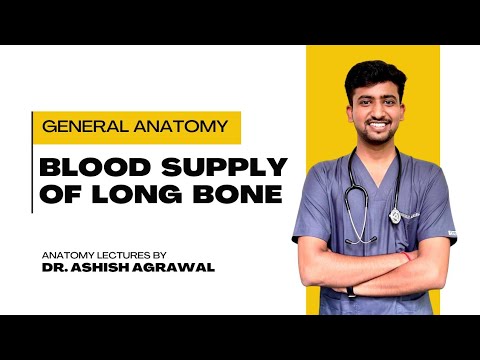 Blood Supply Of Bone || General Anatomy || Anatomy Lectures by Ashish