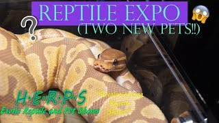HERPShow Reptile Expo | Conroe, TX
