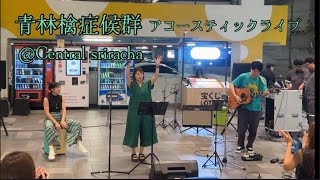 青林檎症候群🍏acoustic live@central sriracha