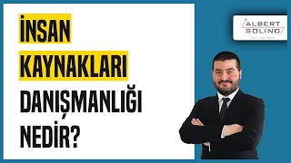İnsan Kaynakları Danışmanlığı Nedir? | Albert Solino Danışmanlık