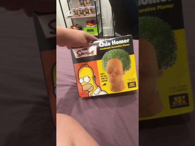 Vídeo relacionado con Chia Pet The Simpsons - Homero con Paquete de Semillas, Maceta Decorativa de cerámica, fácil de Hacer y Divertida de Cultivar, Regalo novedoso, Cualquier ocasión