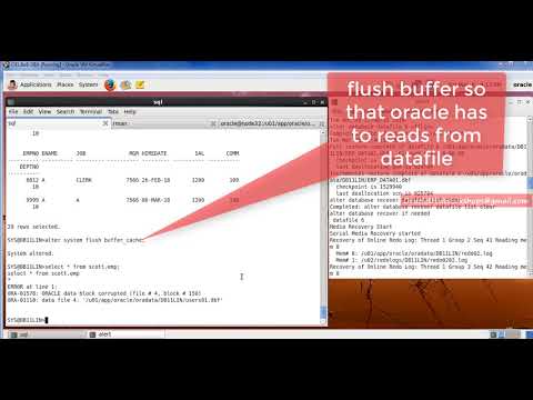 Simplified DBA-022-08-RMAN Block Media Recovery