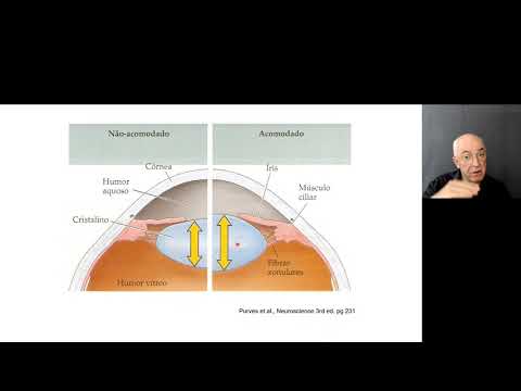 Visão aula 1: Acomodação Visual
