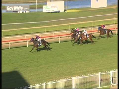 Kaiser Franz. Ipswich 2150 mtr win Friday 19th June