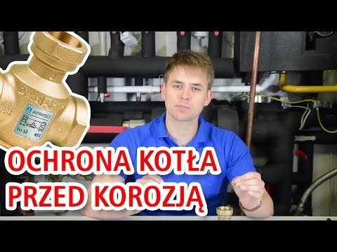 Wokół penisa pojawił małe pryszcze Co zrobić, jeśli małej wielkości penisa