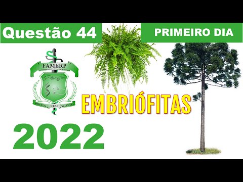 (Famerp 2022) As embriófitas compreendem todas as plantas que retêm os