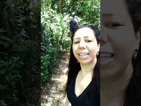 Imersão na natureza... Passeio de milhões parque Witeck Novo Cabrais -RS #viagem #turismo #passeio