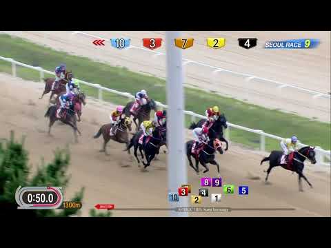 The 18th Minister's Cup (KOR G2)