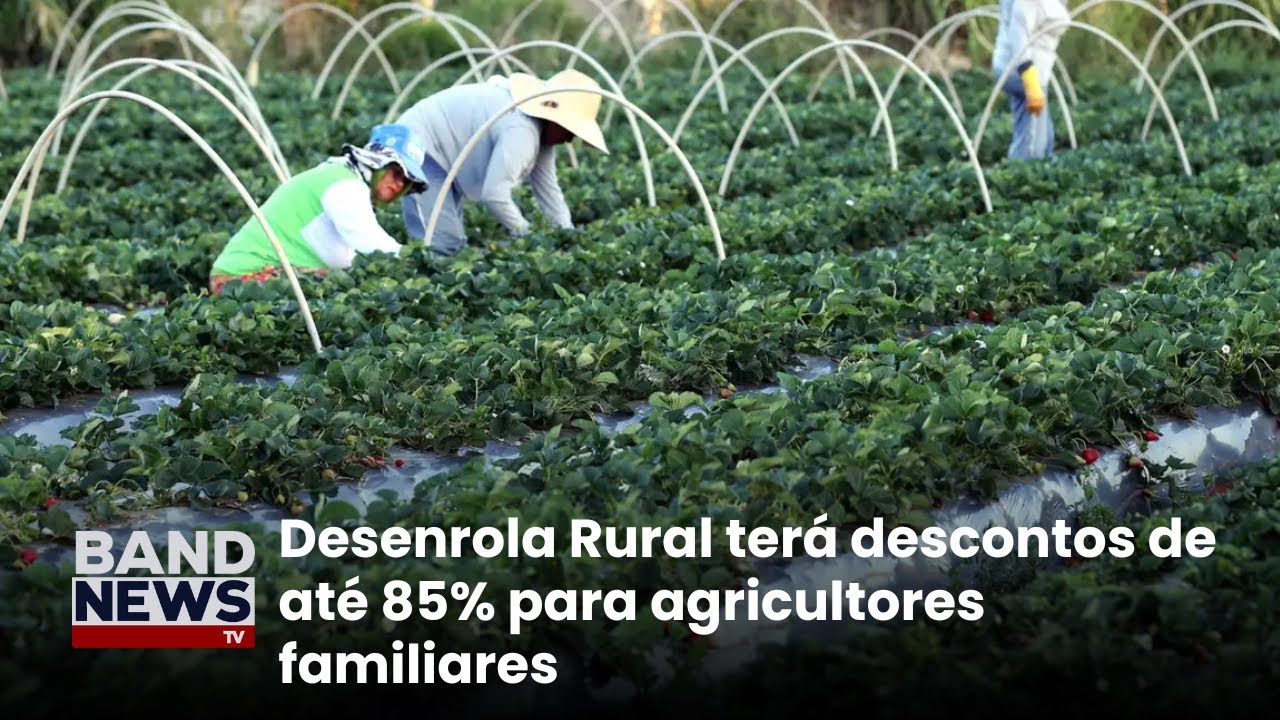 Balanço do ano do Ministério do Desenvolvimento Agrário | BandNews TV