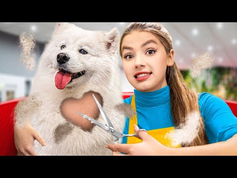 ZOSTAŁAM FRYZJEREM PSÓW!