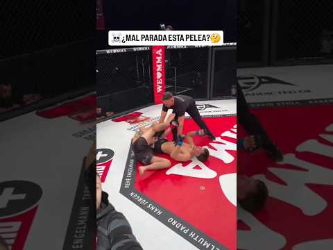 Se apresuró este referi en detener el combate? ☠️🤔 #ufc #mma #bjj