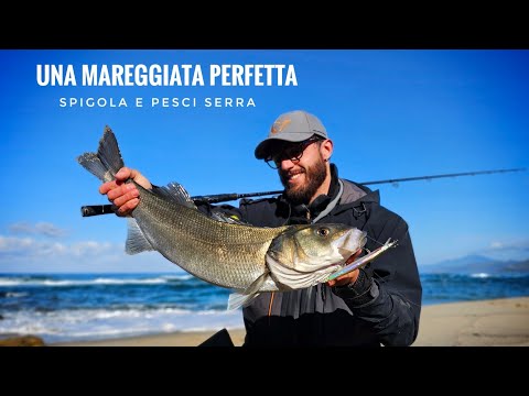 Una mareggiata perfetta: Spigola a spinning