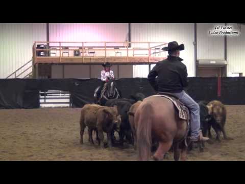 11 01 2014 Lisa & Amber   NRCHA NP Bridle Spec herd