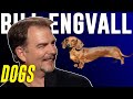 Bill Engvall - Dogs