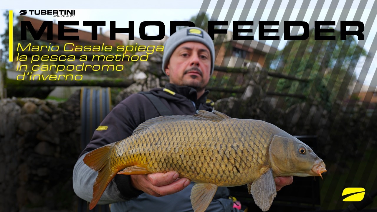 METHOD FEEDER IN THE POND | Mario Casale's tips for winter Method Feeder fishing