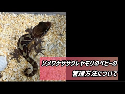 天気-晴れ.png