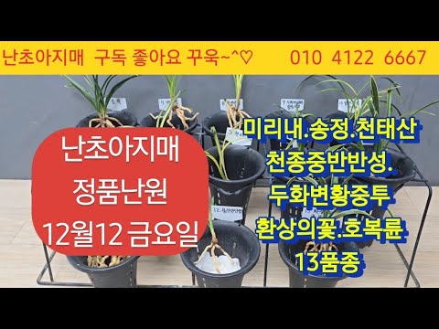 유튜브 썸네일