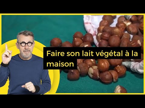 Making your own plant-based milk at home - C Jamy