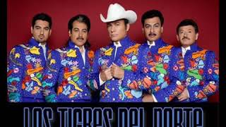 Los Tigres del Norte apenas te fuiste ayer