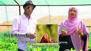 Waxyeelada Cayayaanka Iyo Faaiidada - Tayaynta Beeraha