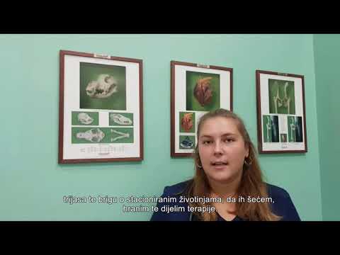 Volonteri Veterinarskog fakulteta Sveučilišta u Zagrebu (Hrvatska volontira 2020.)
